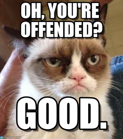 angry-cat-is-offended1.jpg